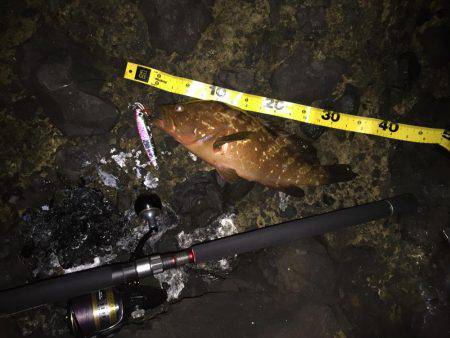 久しぶりのショアジギ